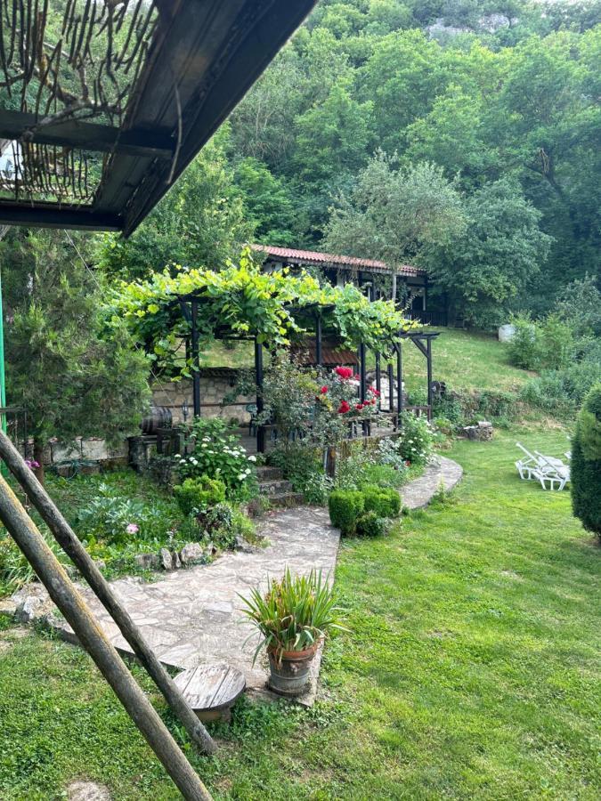 Milkovata Guest House Koshov Exterior photo